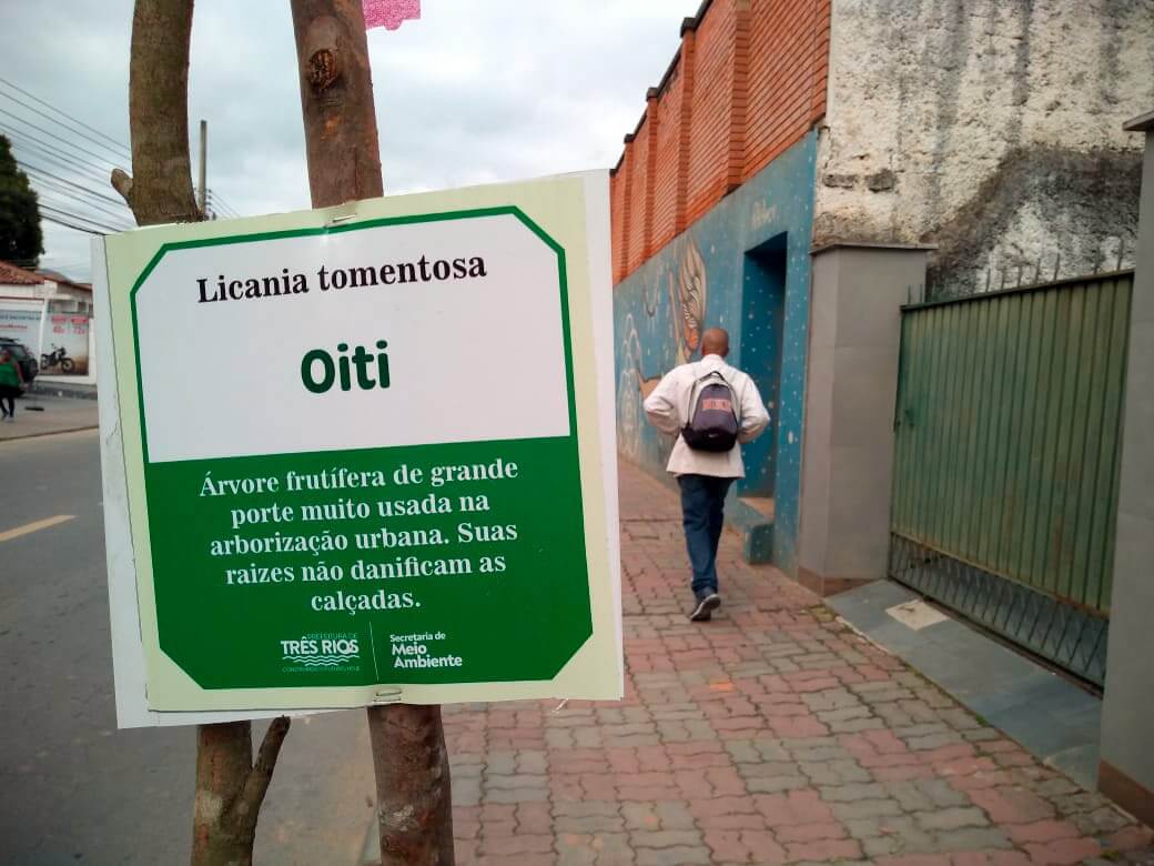 Secretaria de Meio Ambiente realiza plantio de mudas de árvores nas avenidas Nelson Viana e Castro Alves