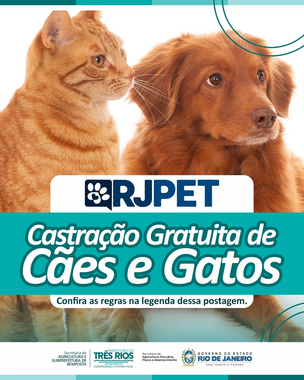 Em parceria com o Governo do Estado, Prefeitura de Três Rios disponibiliza castração gratuitas de cães e gatos