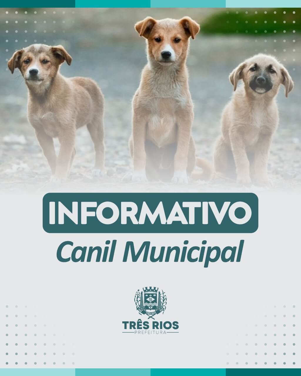 NOTA - CANIL MUNICIPAL