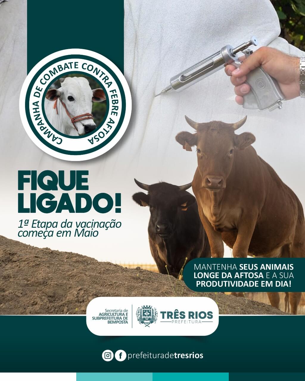 Secretaria de Agricultura: vacinação contra a Febre Aftosa começa a primeira etapa no dia 1º de maio