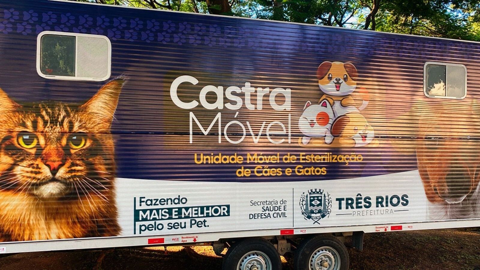Prefeitura de Três Rios através do Programa 'Castra Pet RJ' vai ofertar 380 castrações por mês