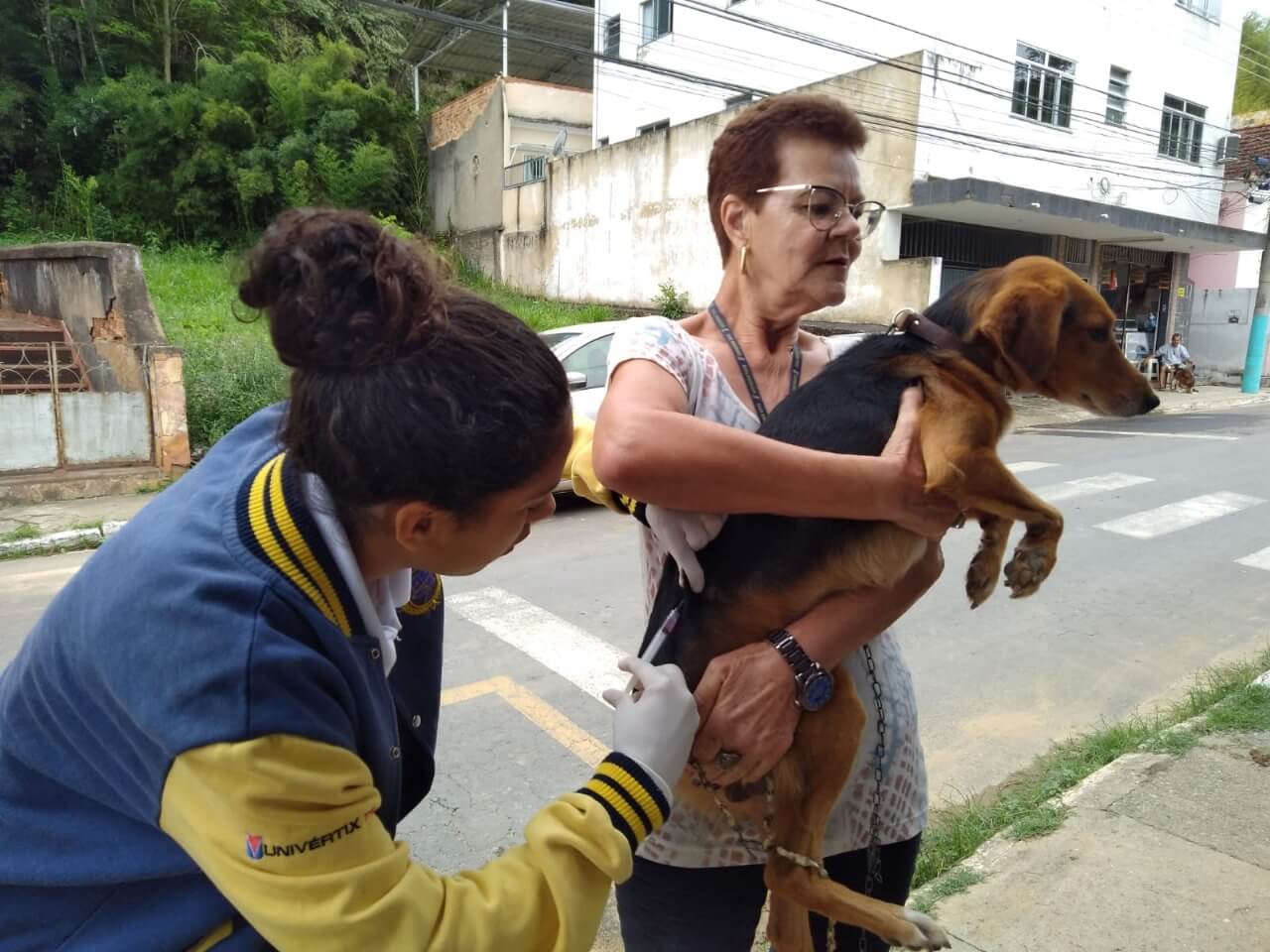 Secretaria de Saúde cumpre meta estadual e imuniza 13.880 cães e gatos em Três Rios