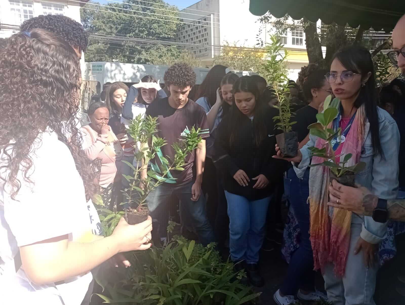 Secretaria de Meio Ambiente e Sustentabilidade doa 300 mudas