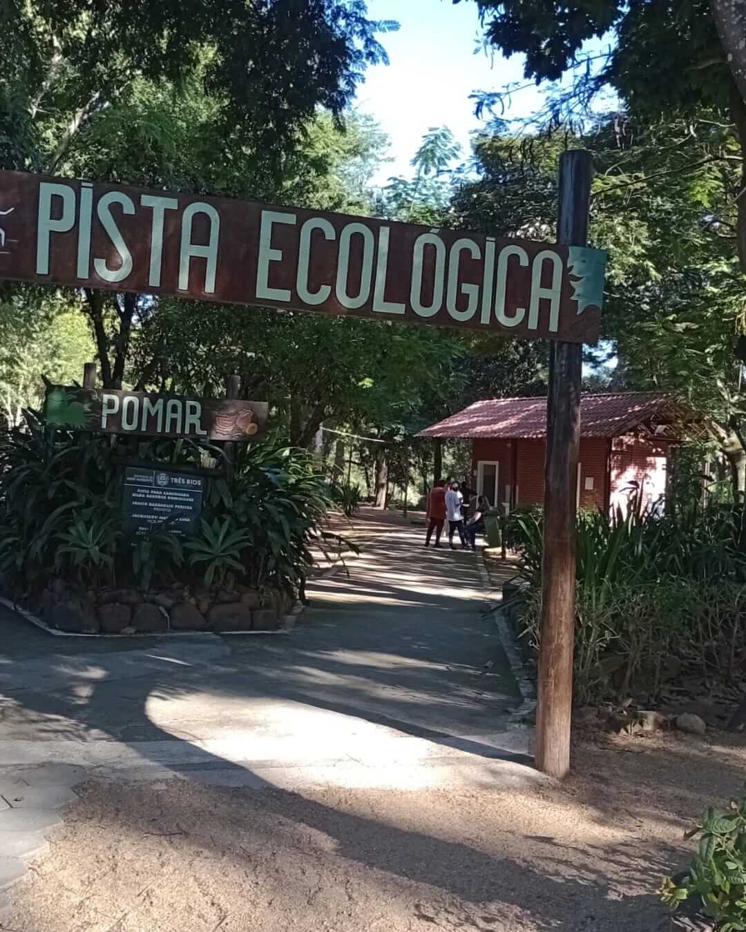 Semana do Meio Ambiente começa nesta quarta-feira