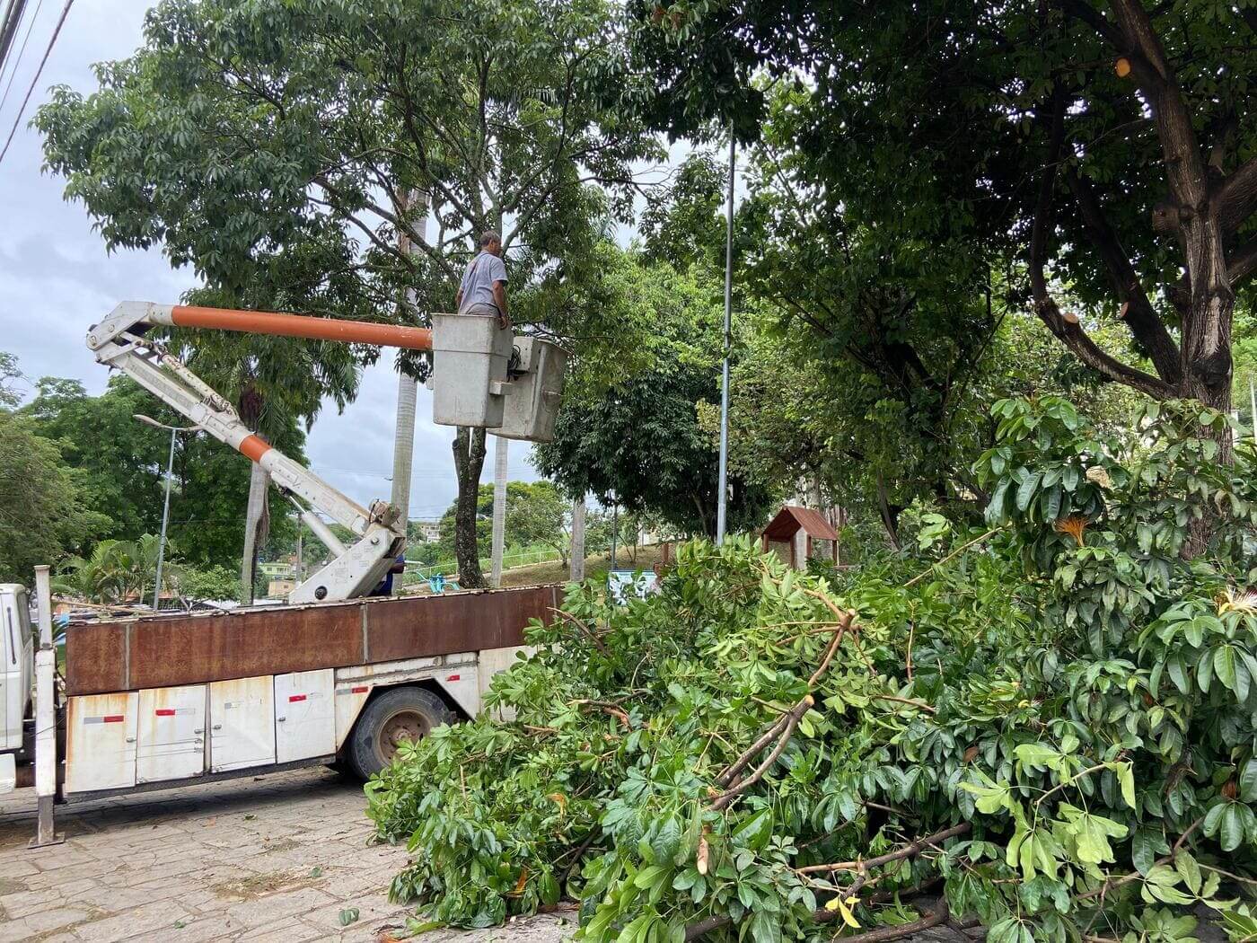 Prefeitura de Três Rios inicia ação de poda de árvores no Centro da cidade
