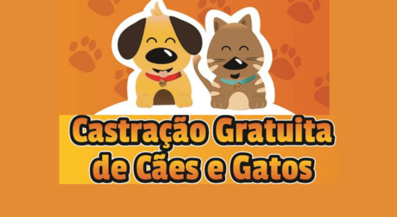 Programa Gratuito de Castração de Cães e Gatos abre agendamento em parceria com a Faculdade André Arcoverde (FAA)