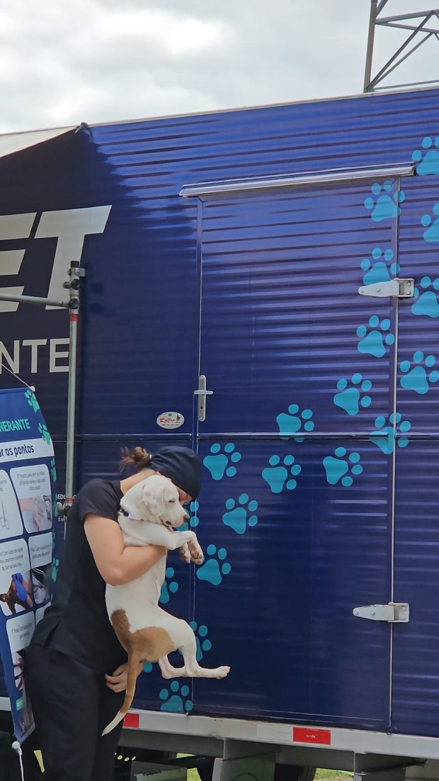 Castração Gratuita em Três Rios: 478 animais atendidos e demanda crescente