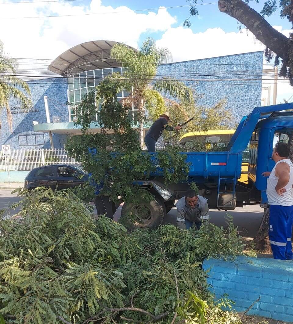 Poda de elevação melhora segurança e visibilidade em Três Rios