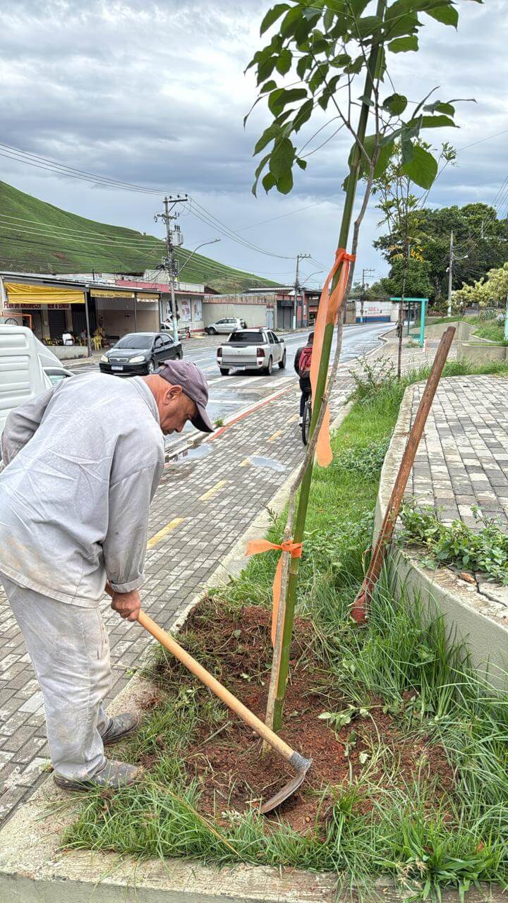 Três Rios Verde: 60 pés de ipê são plantados em vias da cidade