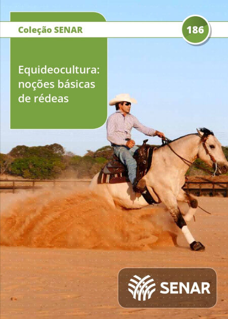 Em parceria com o Senar, Prefeitura de Três Rios abre inscrições para curso gratuito de Equideocultura com foco em rédeas 
