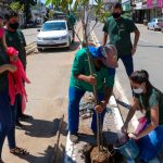 Prefeitura de Três Rios dá início à arborização urbana no município