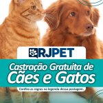 Em parceria com o Governo do Estado, Prefeitura de Três Rios disponibiliza castração gratuitas de cães e gatos