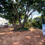Três Rios promove Semana do Meio Ambiente com programação diversificada e atividades para toda a comunidade