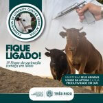 Secretaria de Agricultura: vacinação contra a Febre Aftosa começa a primeira etapa no dia 1º de maio￼