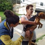 Secretaria de Saúde cumpre meta estadual e imuniza 13.880 cães e gatos em Três Rios