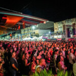 Mais de 200 mil pessoas passaram pela Avenida Condessa do Rio Novo neste Carnaval
