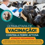 A Prefeitura de Três Rios faz alerta aos pecuaristas do município