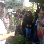 Secretaria de Meio Ambiente e Sustentabilidade doa 300 mudas