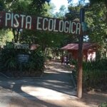 Semana do Meio Ambiente começa nesta quarta-feira